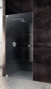 Omega shower niche model