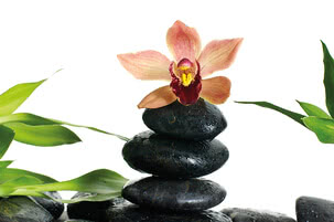 Zen stones with orchid | 4028