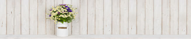 Flowers in front of wooden wall | 0510