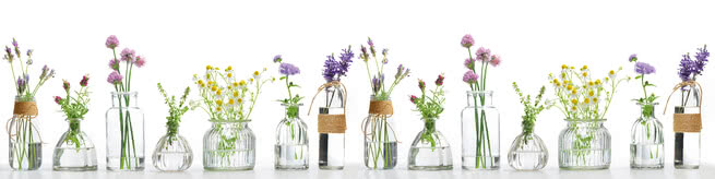 Meadow herbs in vases | 0515