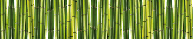 Bamboo | 0434