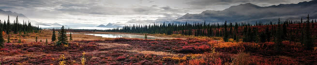 Alaskan landscape | 0453